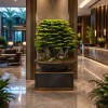 premium 150 cm bonsai premium 150 cm bonsai