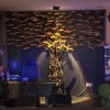 premium bonsai 2x2