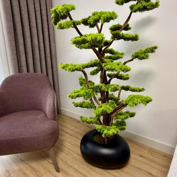 premium bonsai 150 cm