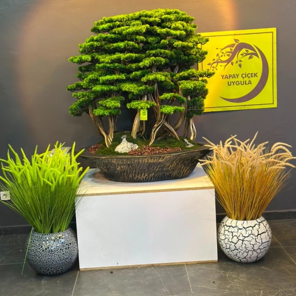 premium 150 cm bonsai