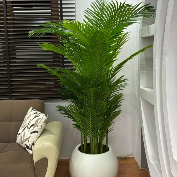 beyaz küre xxl 210 cm areka 