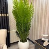 beyaz küre xxl 210 cm areka 