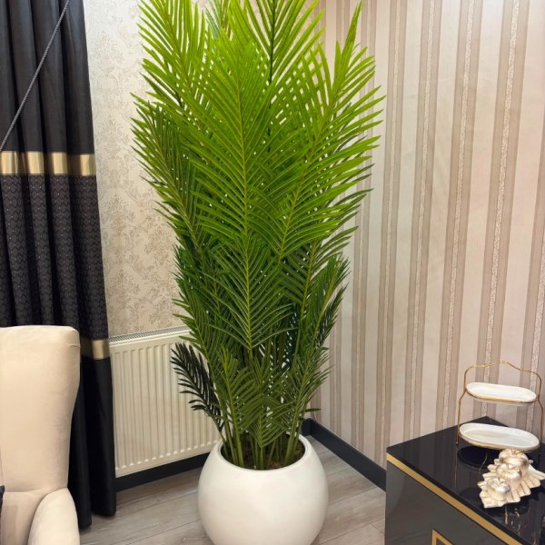 beyaz küre xxl 210 cm areka 