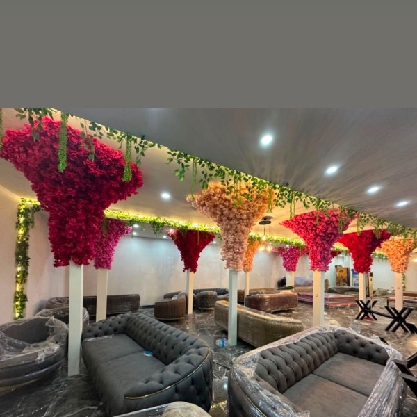 premium bahar dalı
