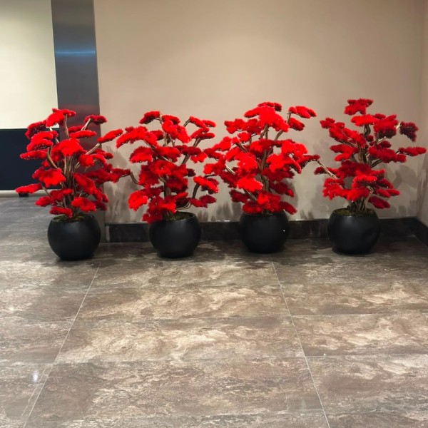 premium bonsai 100 cm 
