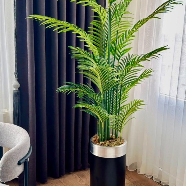 Siyah Gümüş Darbuka 210 Areka