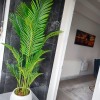beyaz küre 200 cm areka beyaz küre 200 cm areka