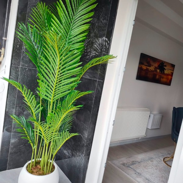 beyaz küre 200 cm areka