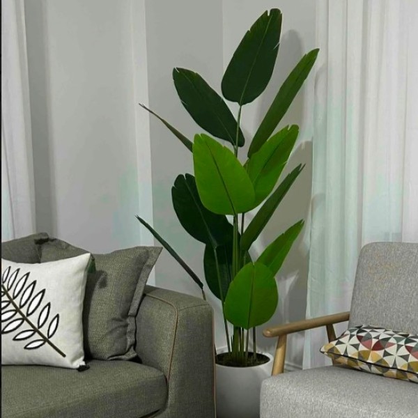 beyaz küre 180 cm yeni starlice