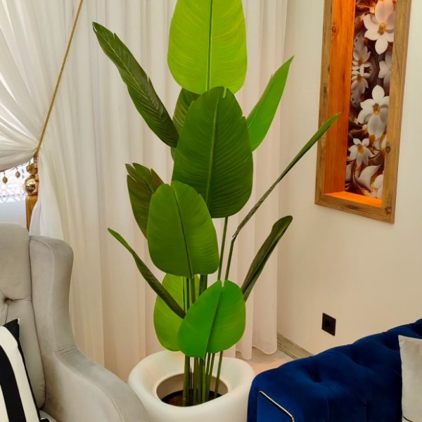 beyaz lale saksı 200 cm yeni starlice