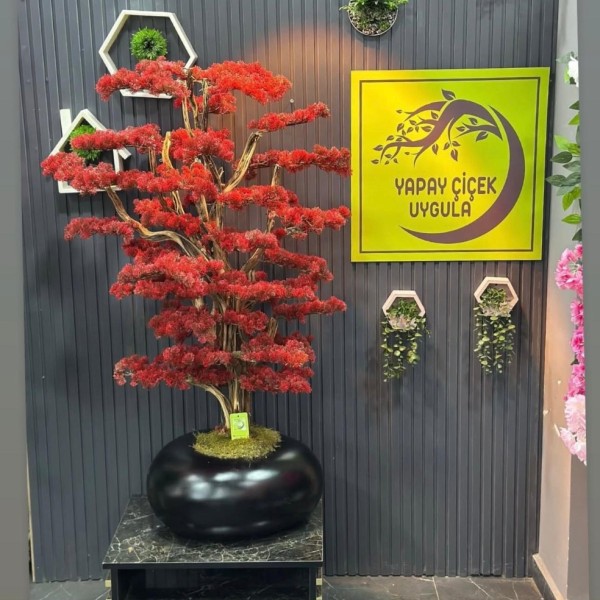 premium bonsai 150 cm