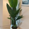 beyaz küre 200 cm starlice beyaz küre 200 cm starlice