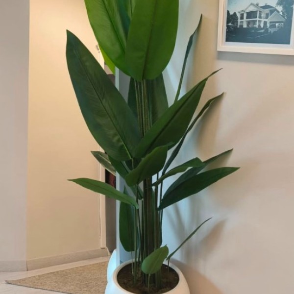 beyaz küre 200 cm starlice
