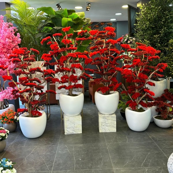 premium bonsai 150 cm