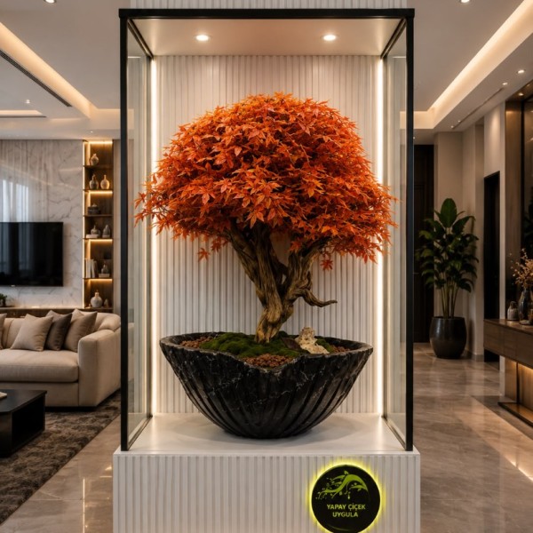 premium 180 cm bonsai