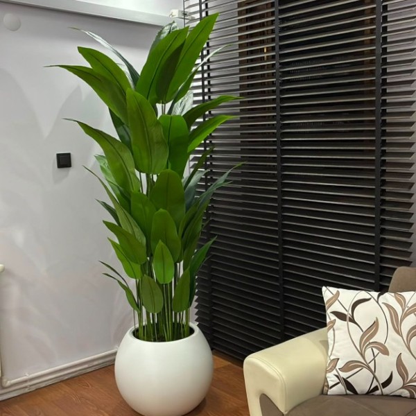 beyaz küre xxl 210 cm starlice