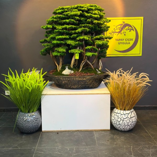 premium 150 cm bonsai