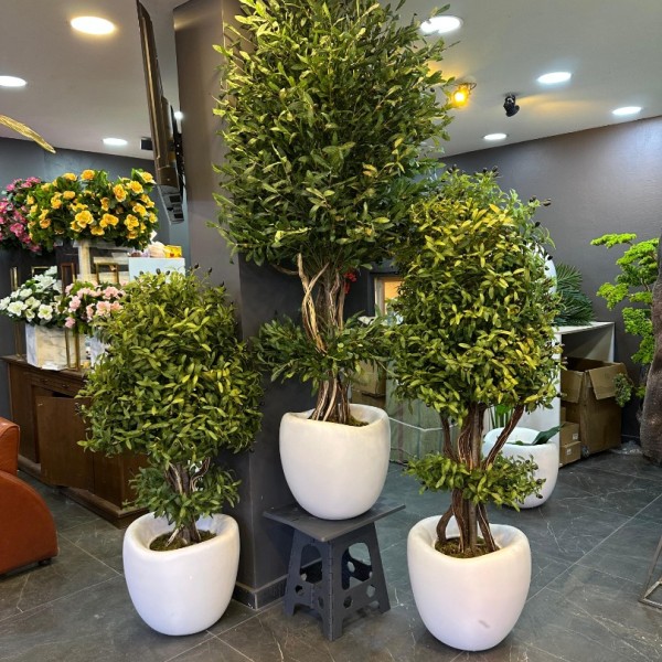 premium 180 cm zeytin