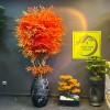 premium 180 cm bonsai premium 180 cm bonsai