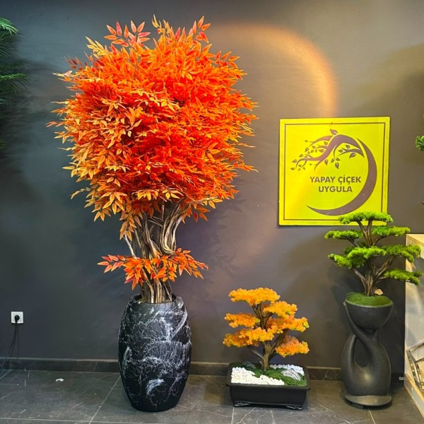 premium 180 cm bonsai